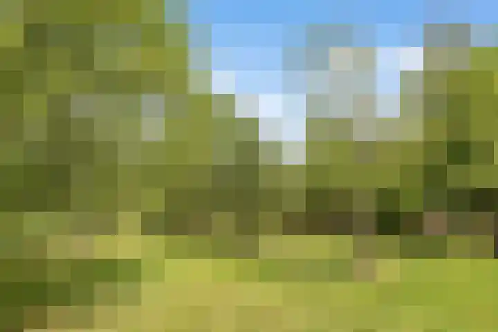 Hoge Bremberg 2 Etten-Leur thumbnail 33