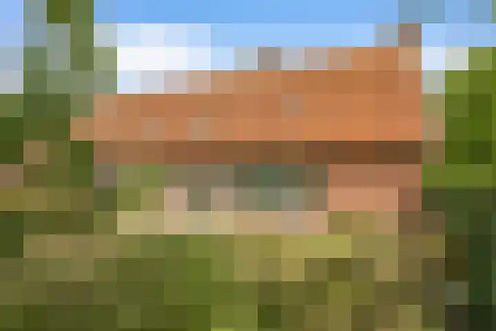 Hoge Bremberg 2 Etten-Leur thumbnail 34
