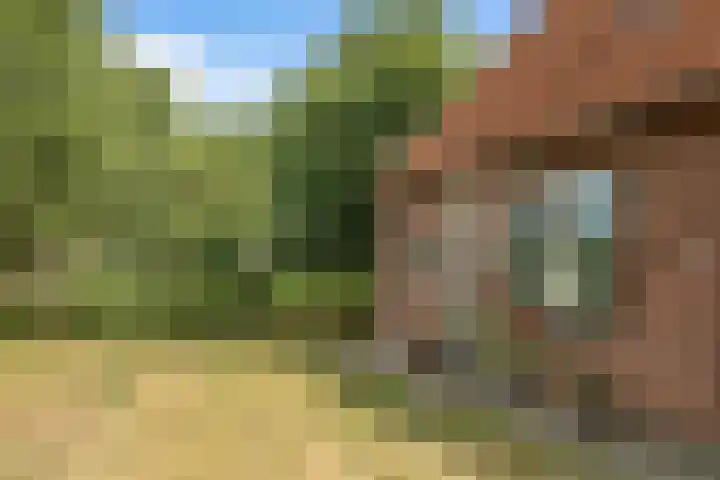 Hoge Bremberg 2 Etten-Leur thumbnail 35