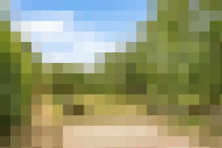 Hoge Bremberg 2 Etten-Leur thumbnail 36