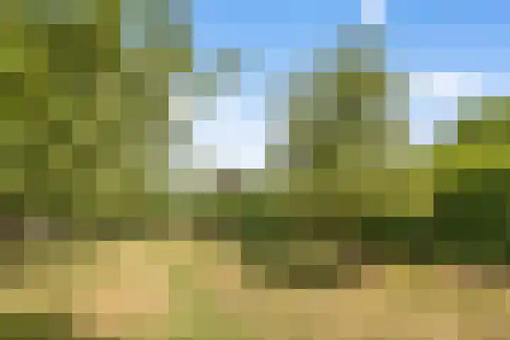 Hoge Bremberg 2 Etten-Leur thumbnail 37