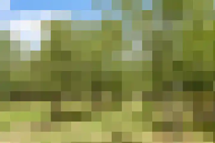 Hoge Bremberg 2 Etten-Leur thumbnail 39