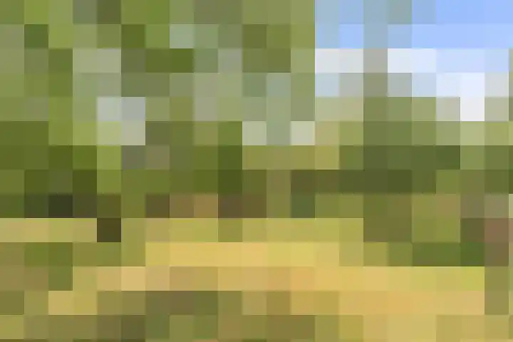 Hoge Bremberg 2 Etten-Leur thumbnail 40