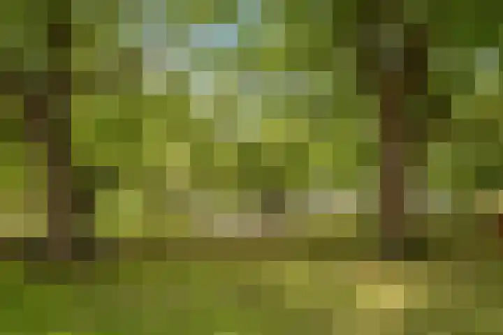 Hoge Bremberg 2 Etten-Leur thumbnail 41