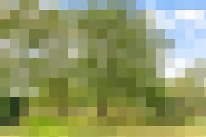 Hoge Bremberg 2 Etten-Leur thumbnail 42