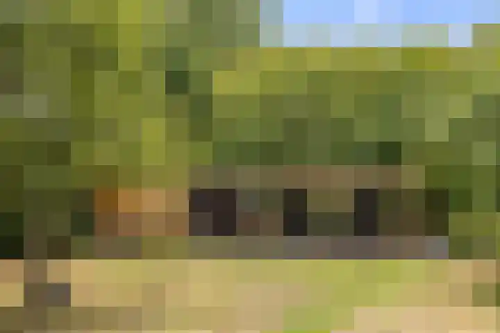 Hoge Bremberg 2 Etten-Leur thumbnail 43