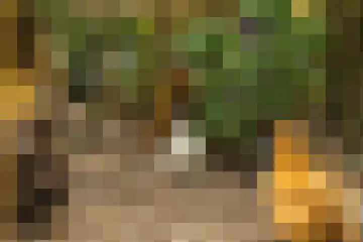Hoge Bremberg 2 Etten-Leur thumbnail 44