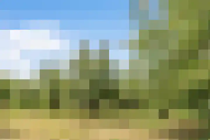 Hoge Bremberg 2 Etten-Leur thumbnail 47