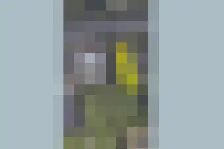 Hoge Bremberg 2 Etten-Leur thumbnail 52