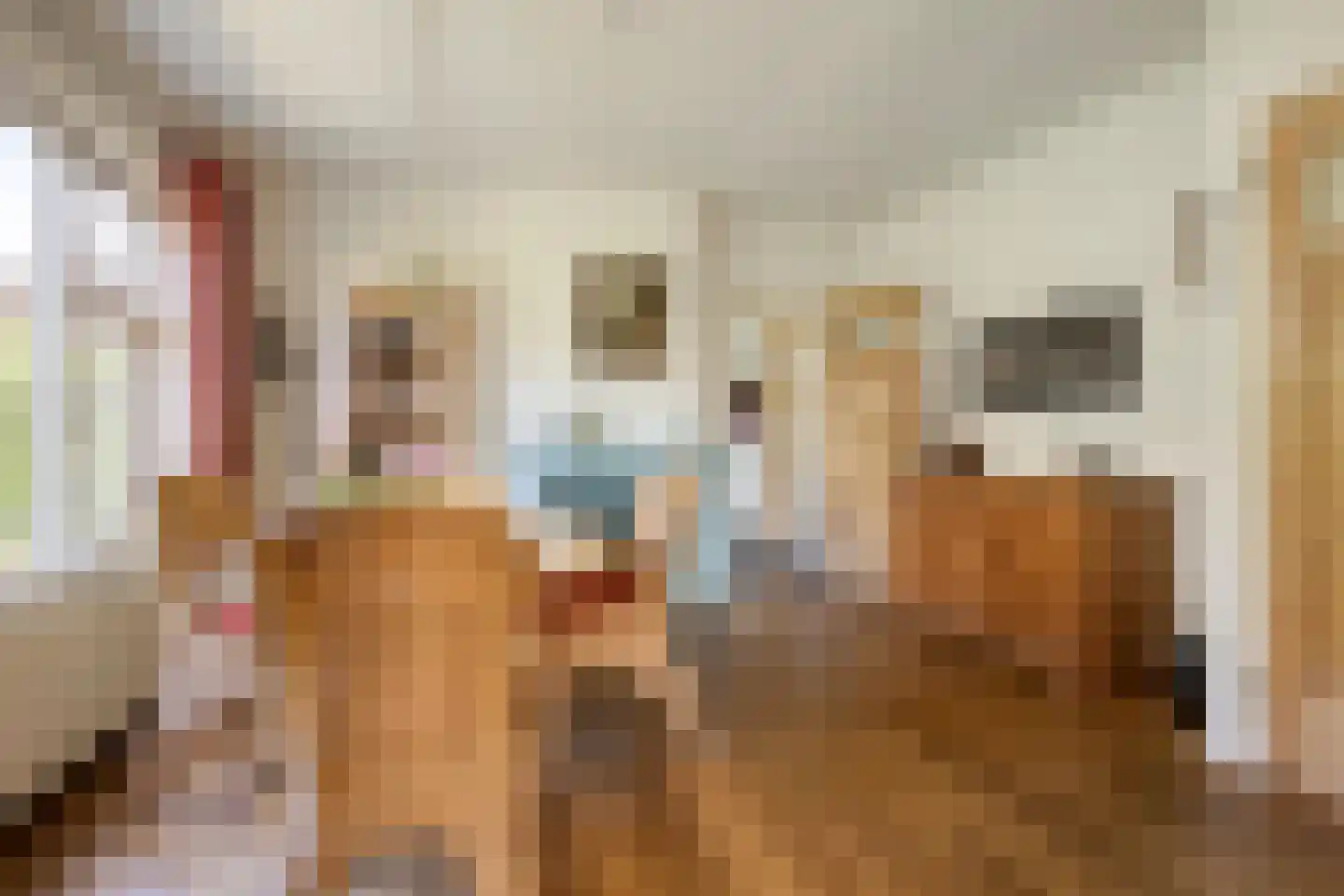 Hoge Brink 33 Wenum Wiesel thumbnail 11