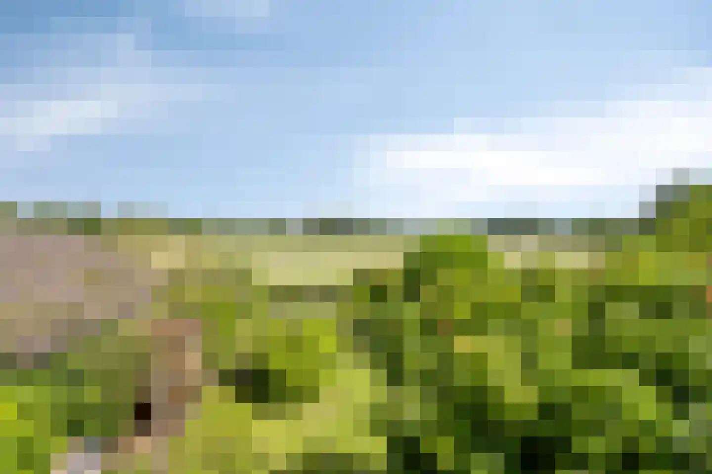 Hoge Brink 33 Wenum Wiesel thumbnail 30