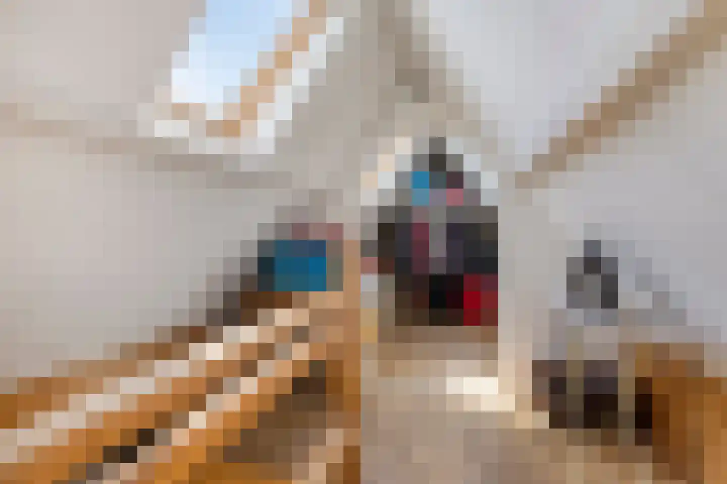 Hoge Brink 33 Wenum Wiesel thumbnail 33