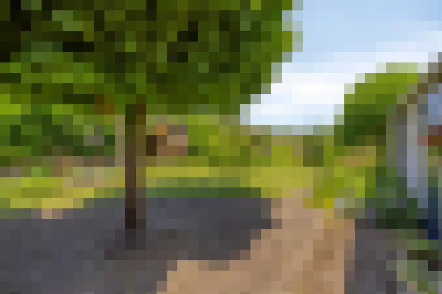 Hoge Brink 33 Wenum Wiesel thumbnail 36