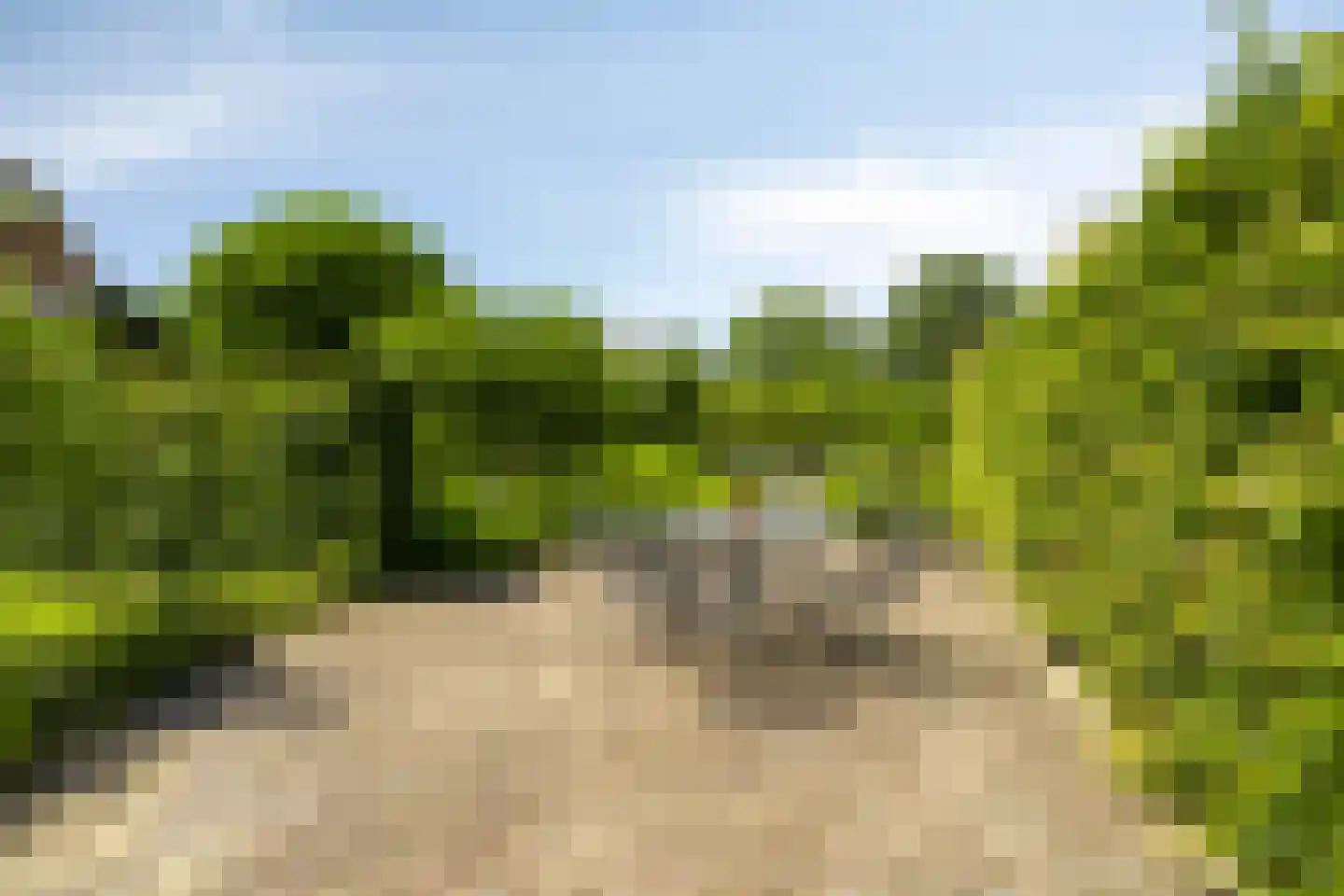 Hoge Brink 33 Wenum Wiesel thumbnail 37