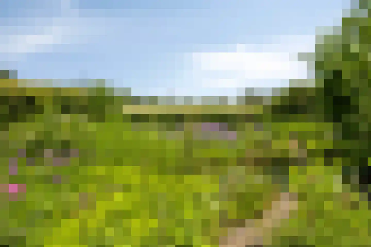 Hoge Brink 33 Wenum Wiesel thumbnail 39