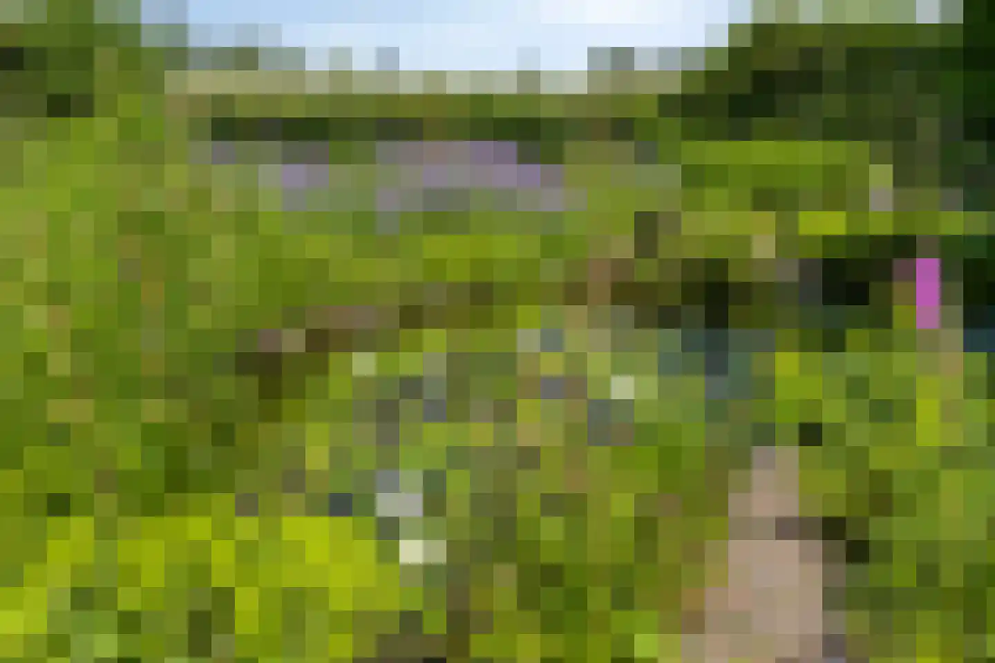 Hoge Brink 33 Wenum Wiesel thumbnail 40