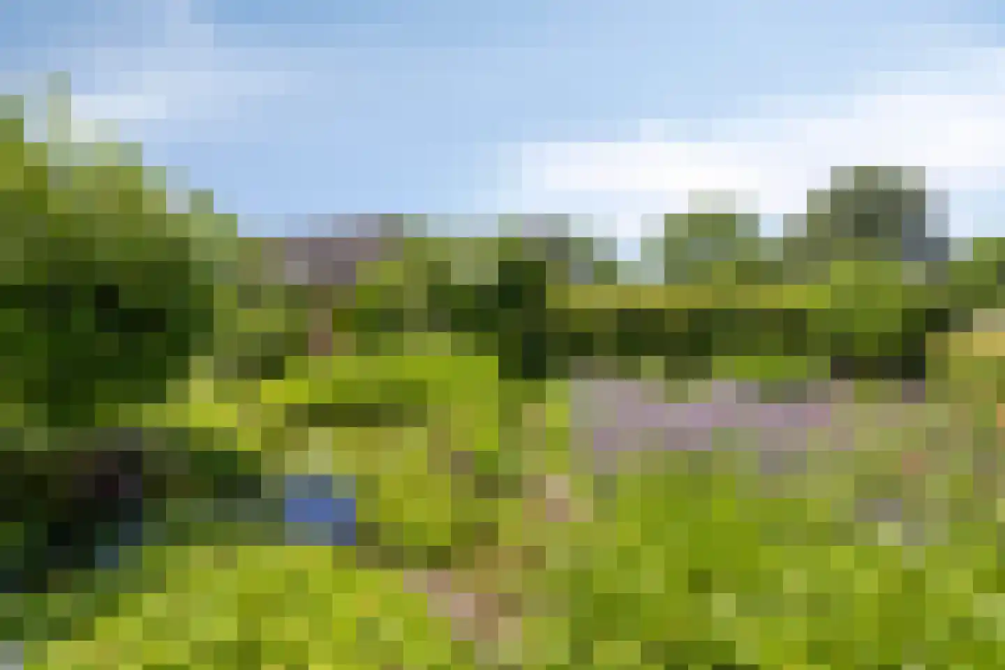 Hoge Brink 33 Wenum Wiesel thumbnail 42