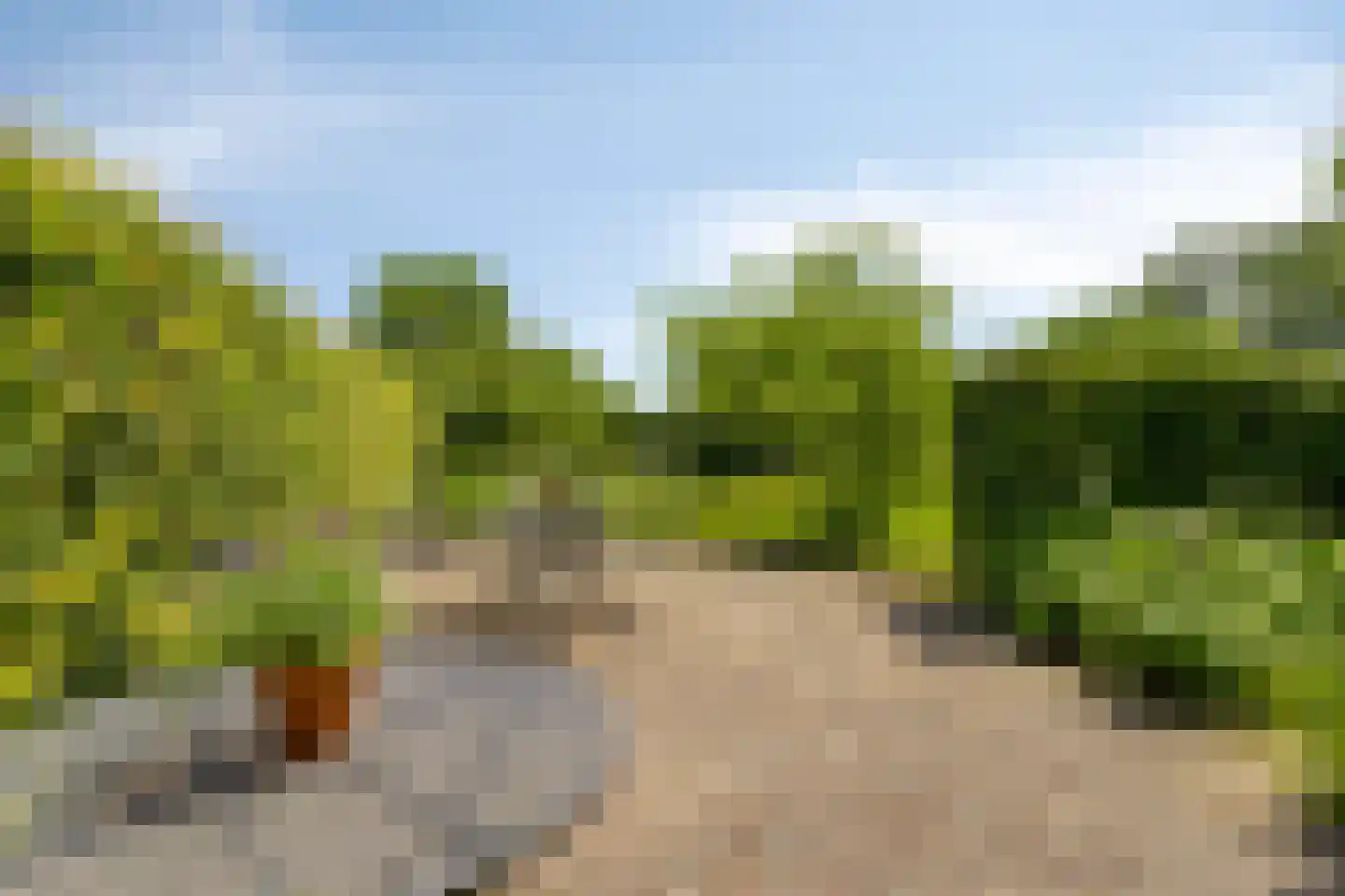 Hoge Brink 33 Wenum Wiesel thumbnail 43