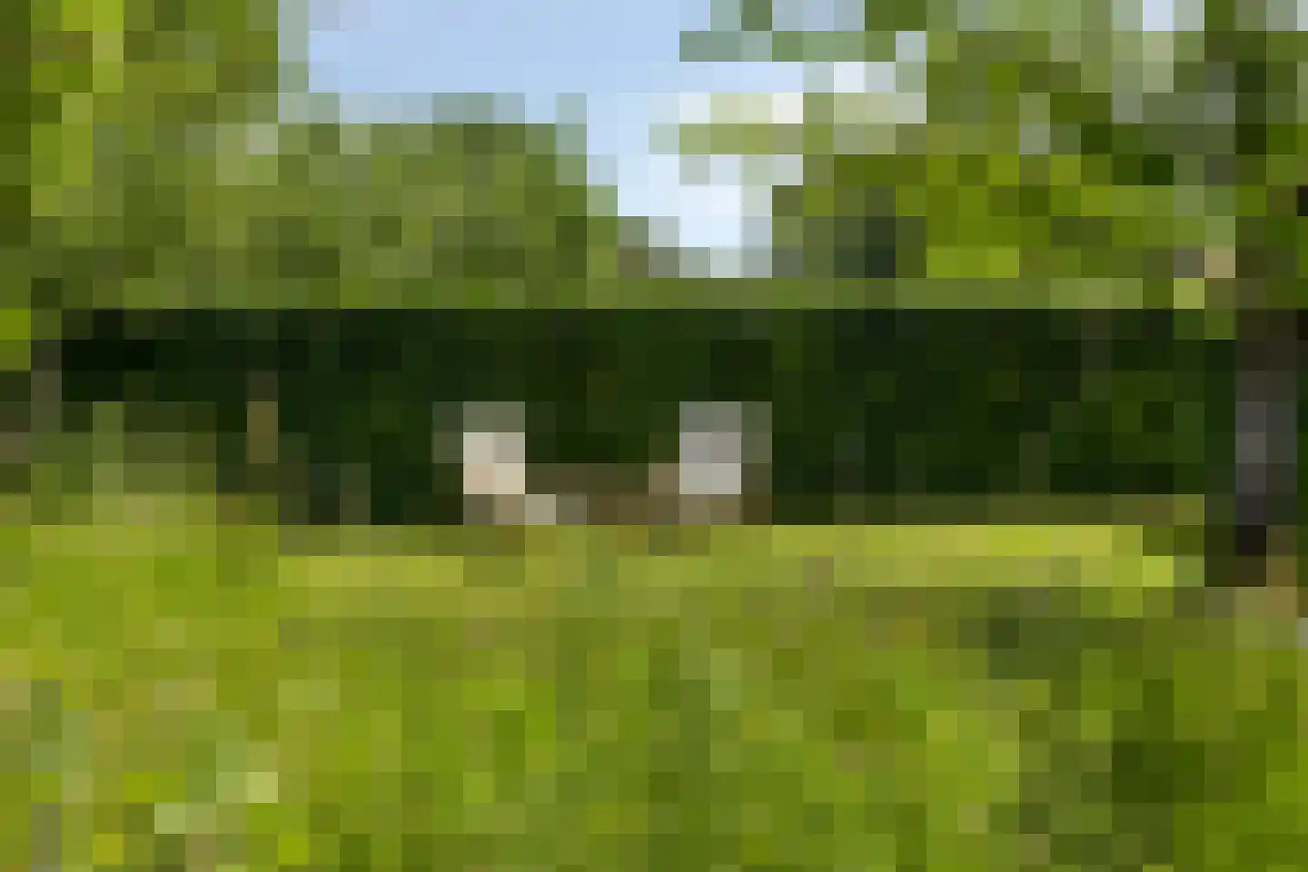 Hoge Brink 33 Wenum Wiesel thumbnail 44