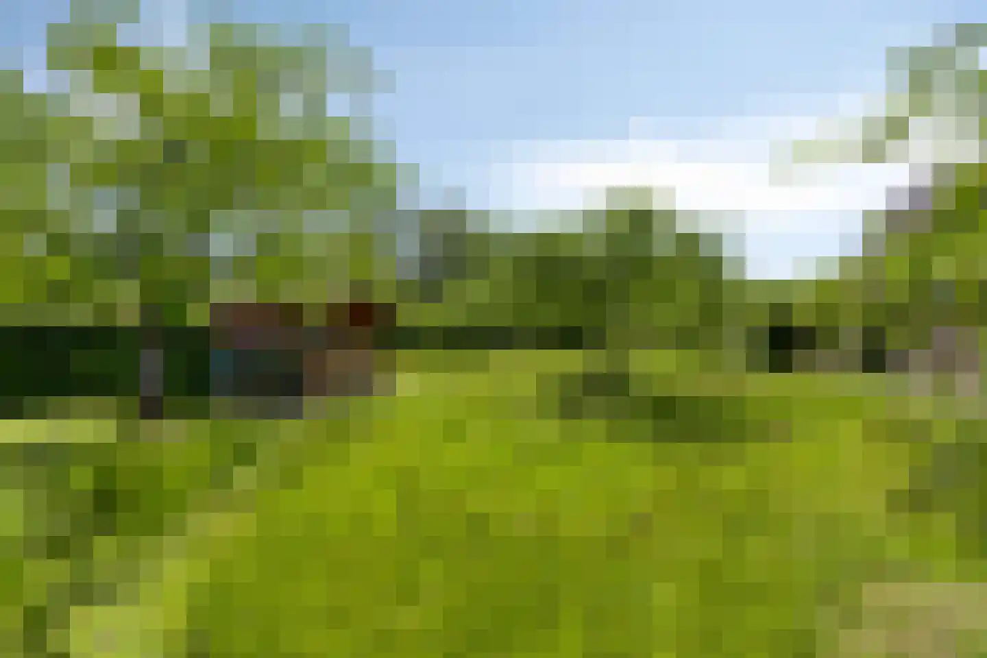 Hoge Brink 33 Wenum Wiesel thumbnail 45
