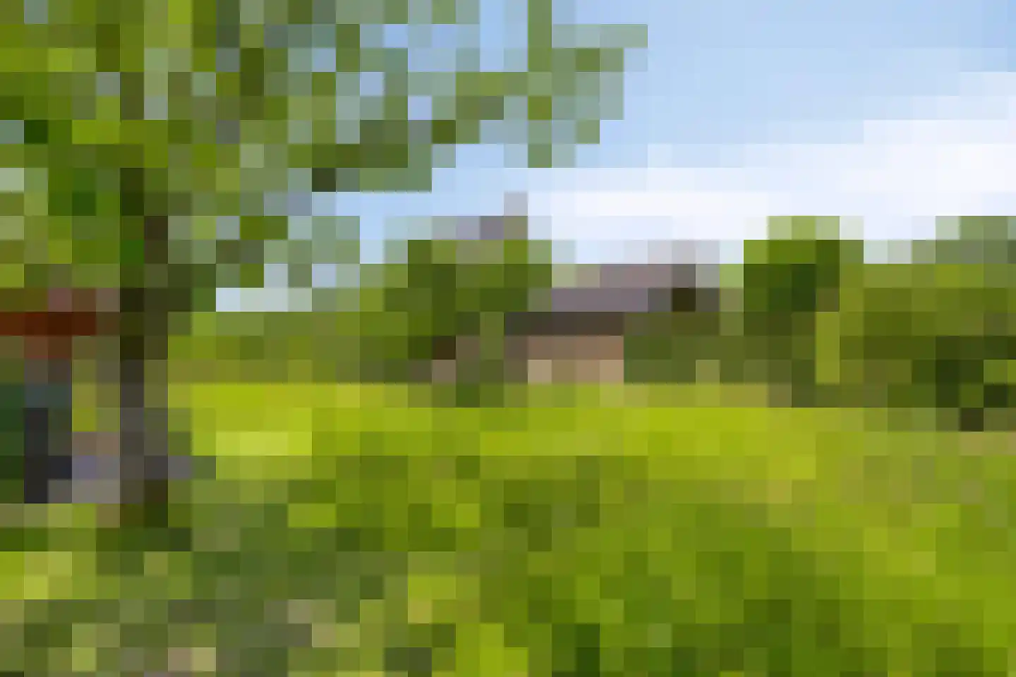 Hoge Brink 33 Wenum Wiesel thumbnail 46