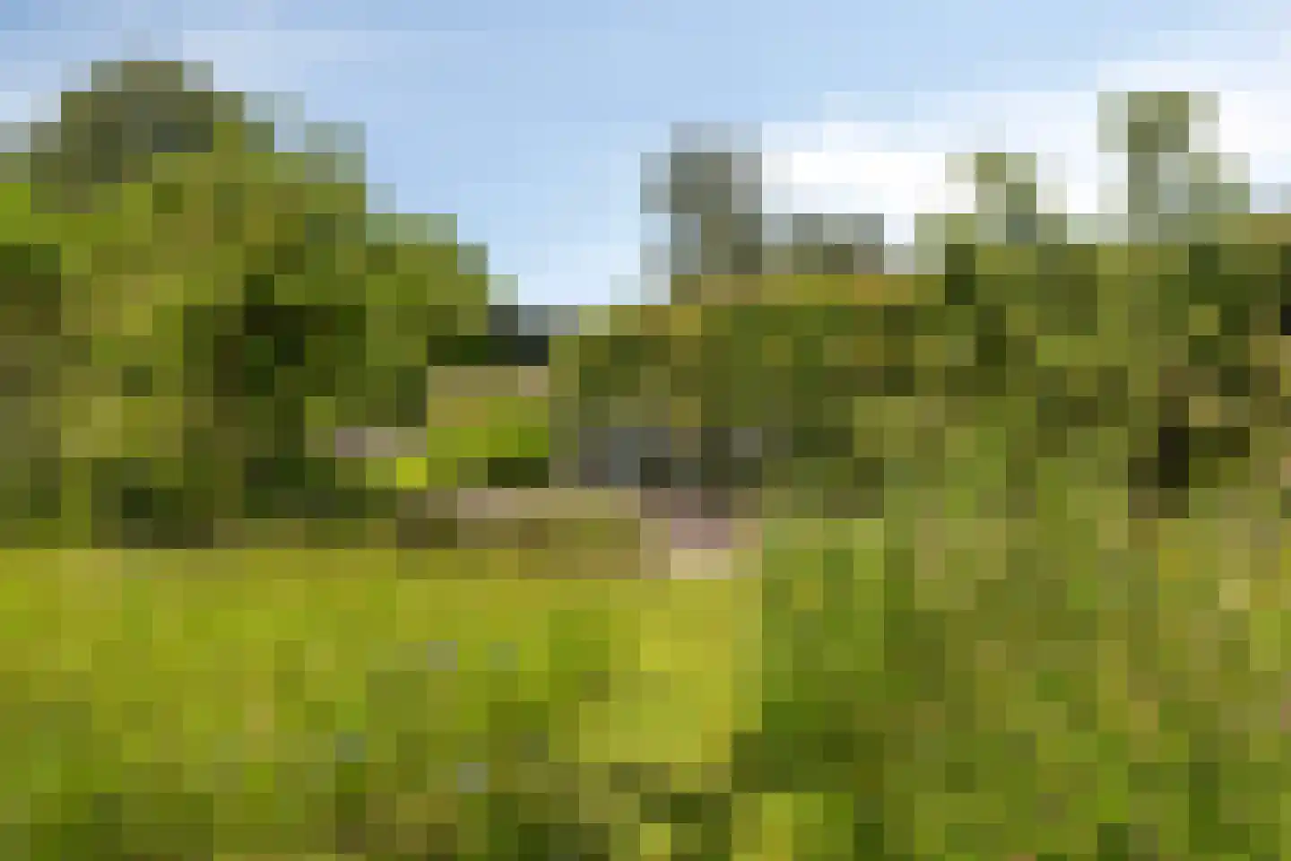 Hoge Brink 33 Wenum Wiesel thumbnail 47