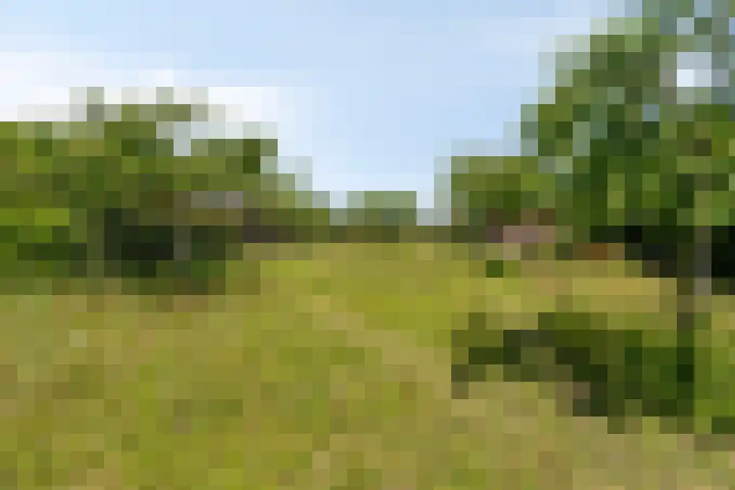 Hoge Brink 33 Wenum Wiesel thumbnail 48