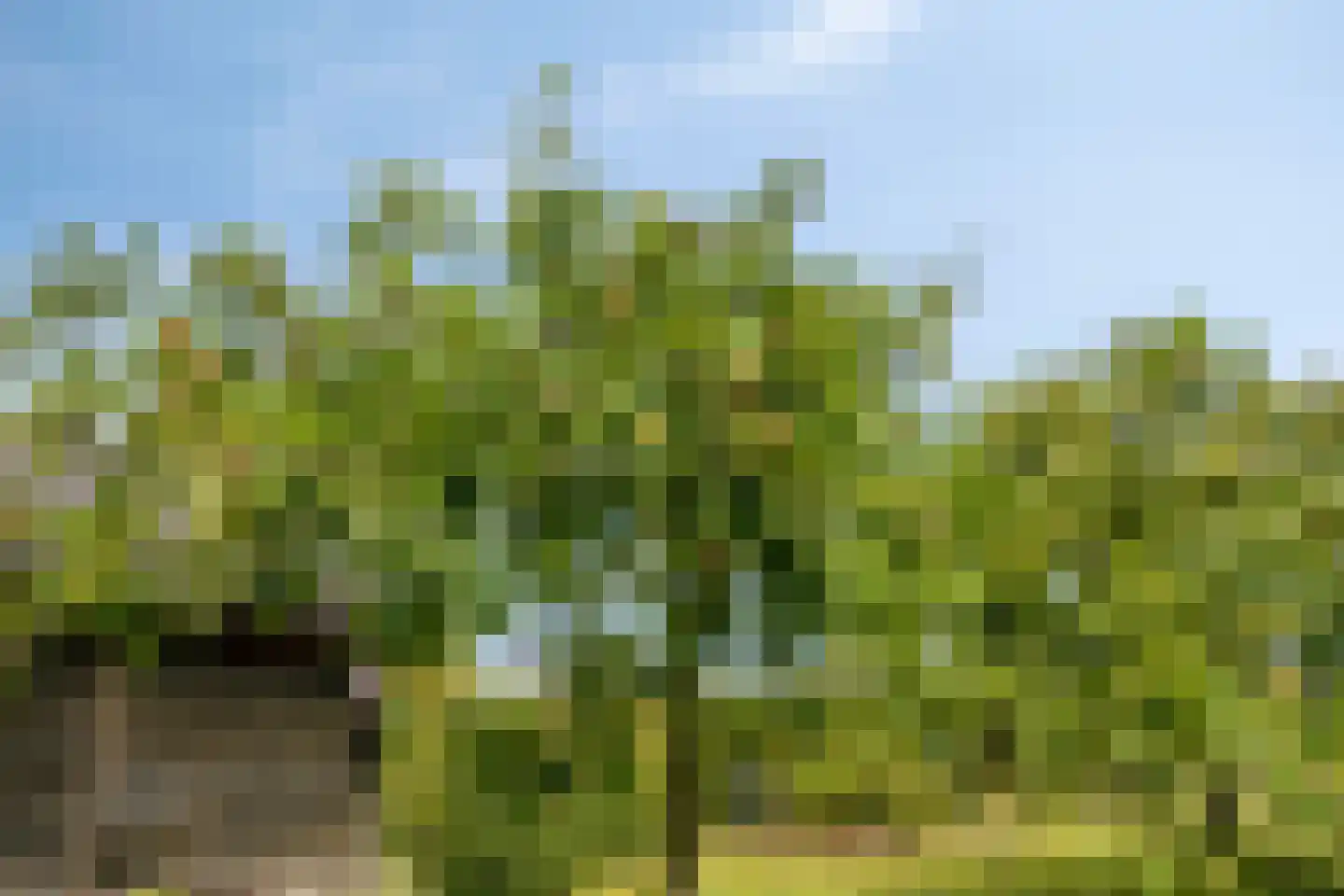 Hoge Brink 33 Wenum Wiesel thumbnail 49