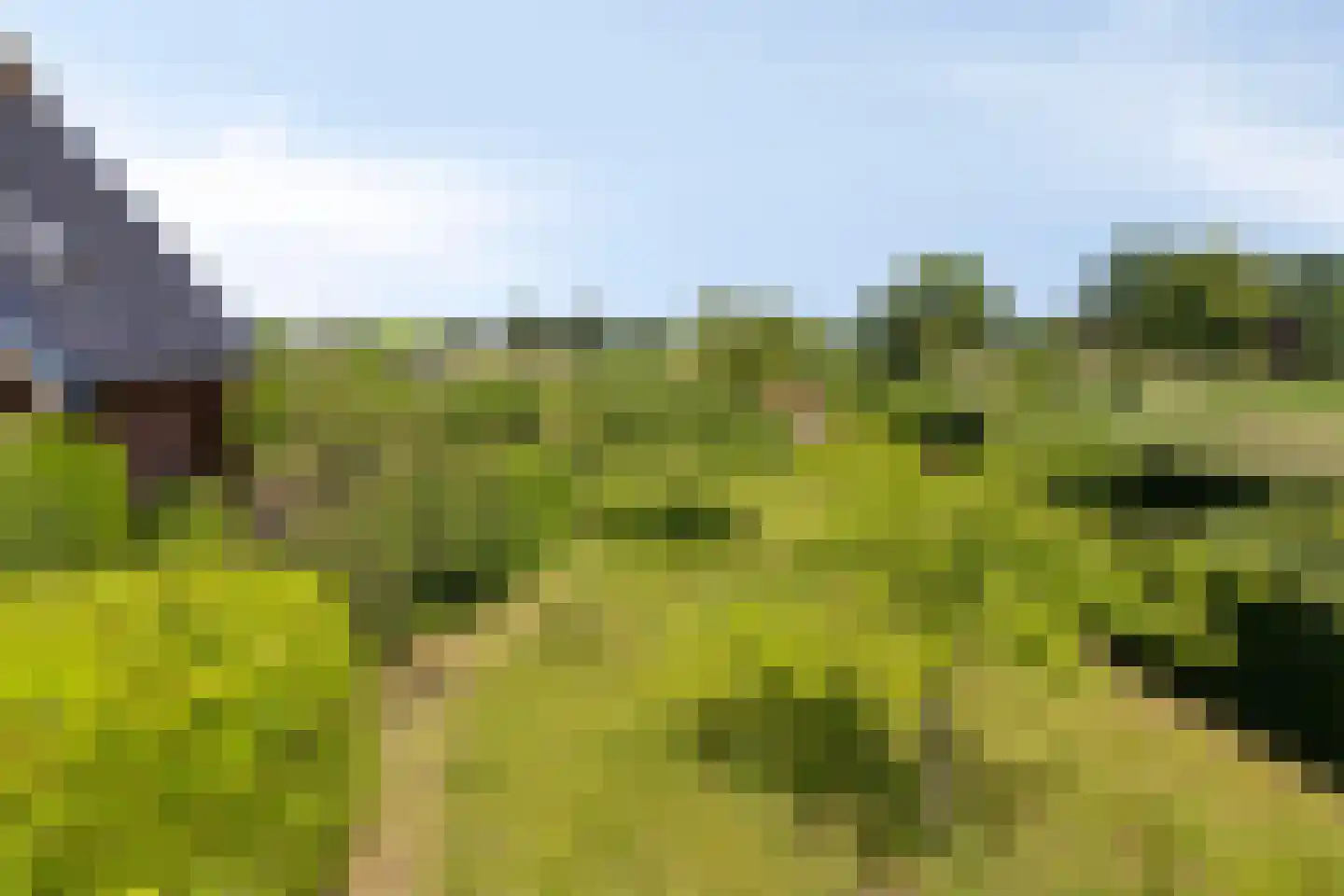 Hoge Brink 33 Wenum Wiesel thumbnail 50