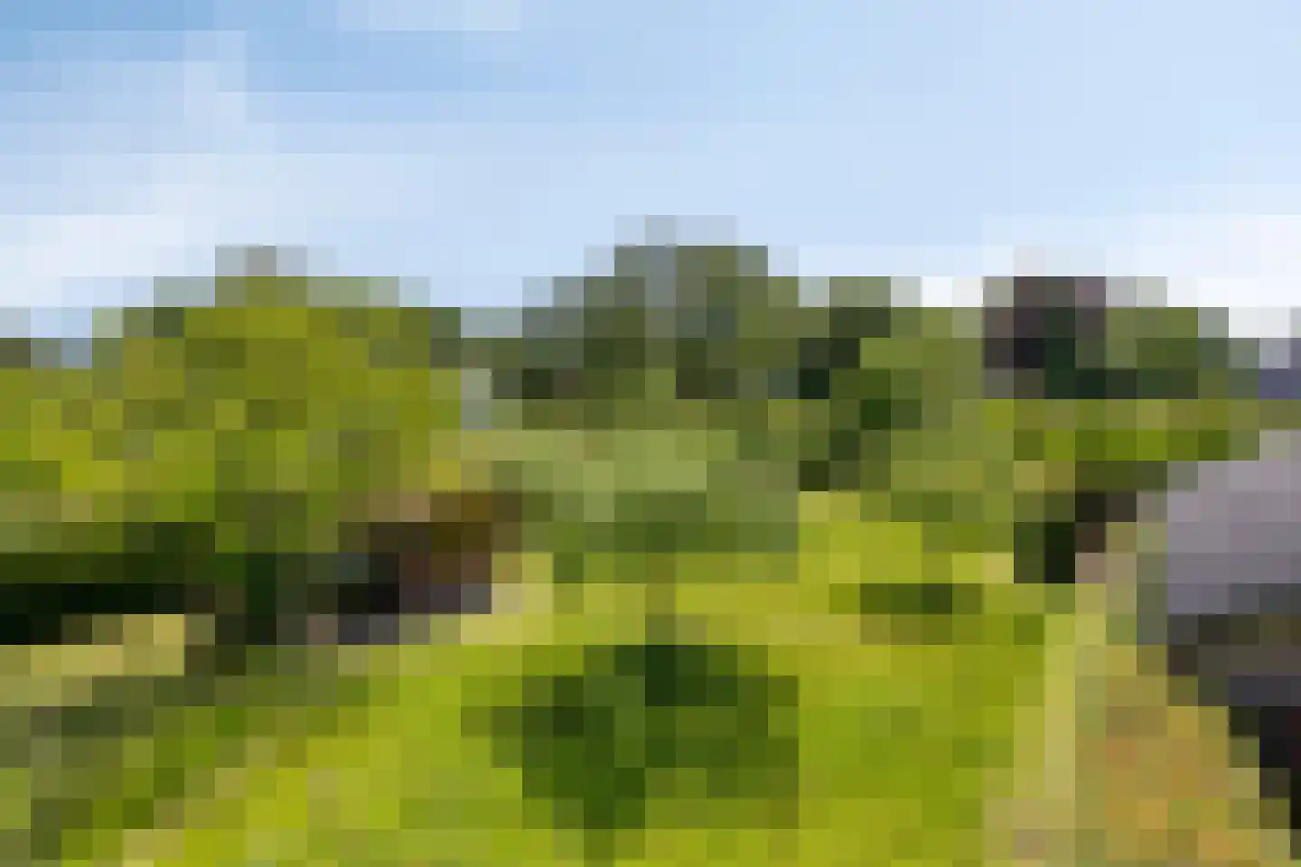Hoge Brink 33 Wenum Wiesel thumbnail 51