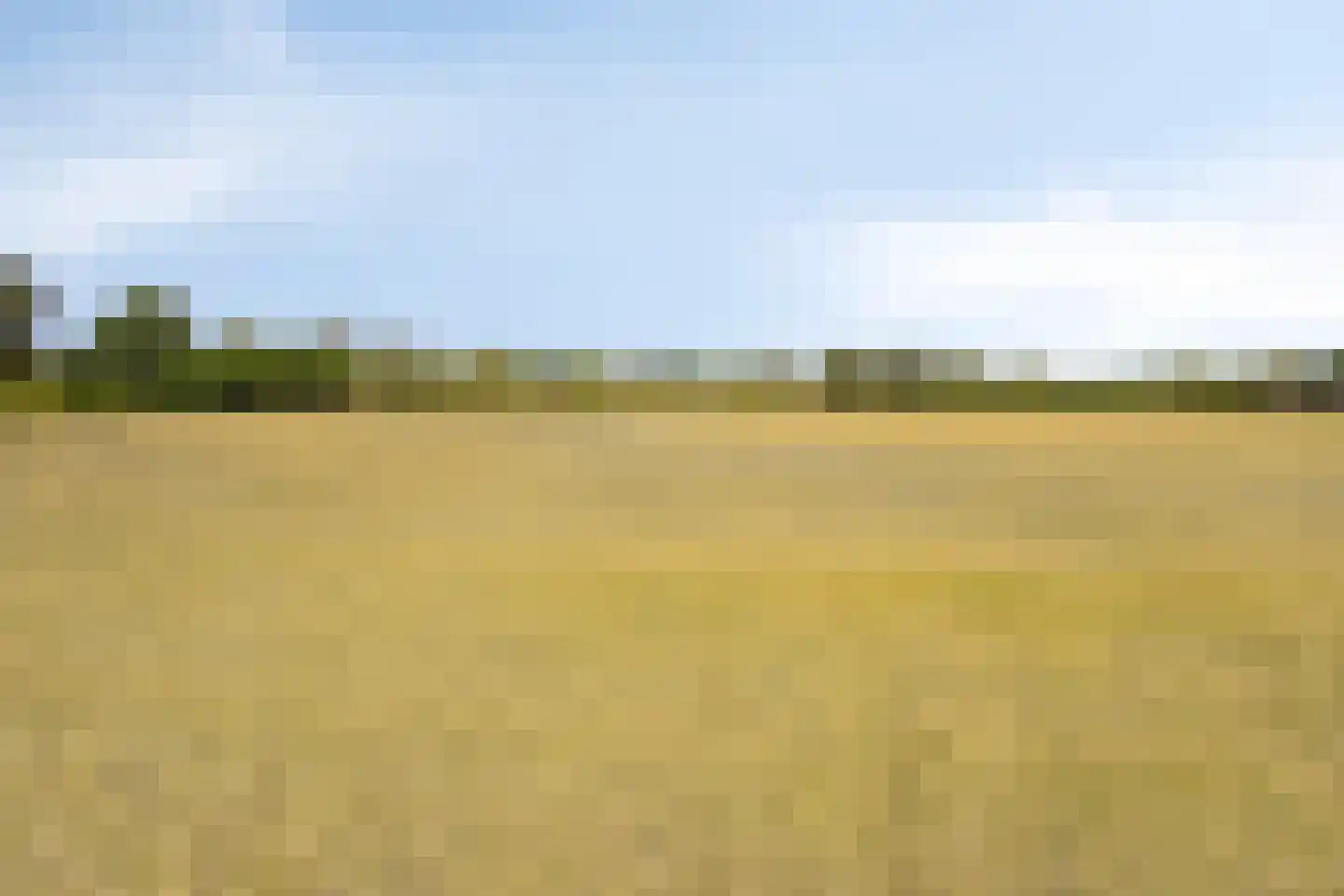Hoge Brink 33 Wenum Wiesel thumbnail 53
