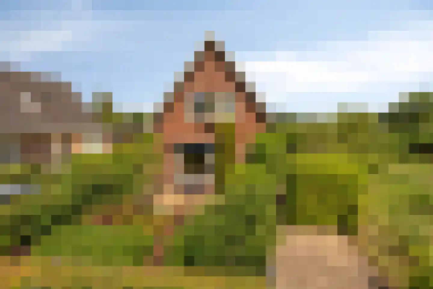 Hoge Brink 33 Wenum Wiesel thumbnail 58