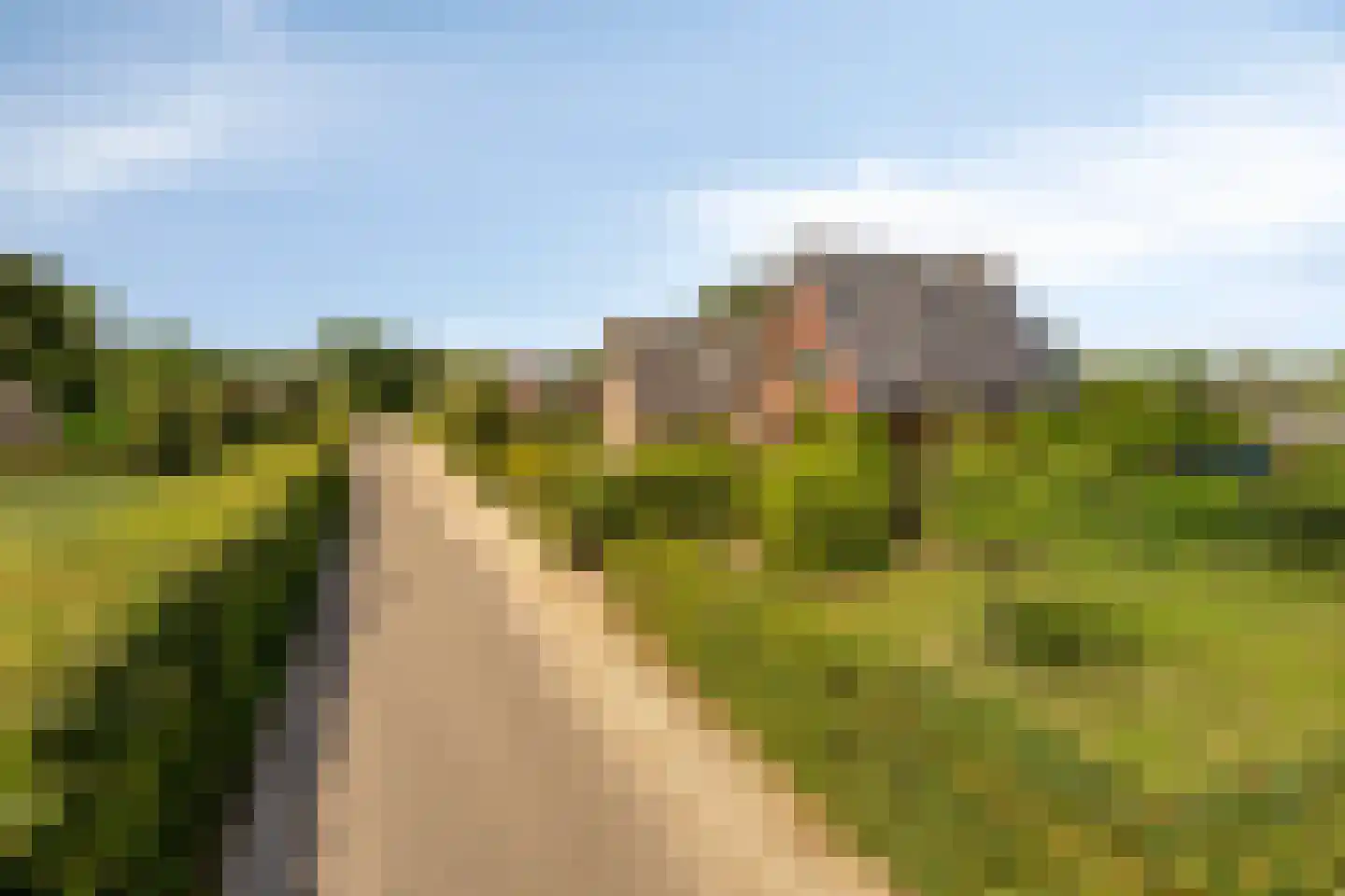Hoge Brink 33 Wenum Wiesel thumbnail 59