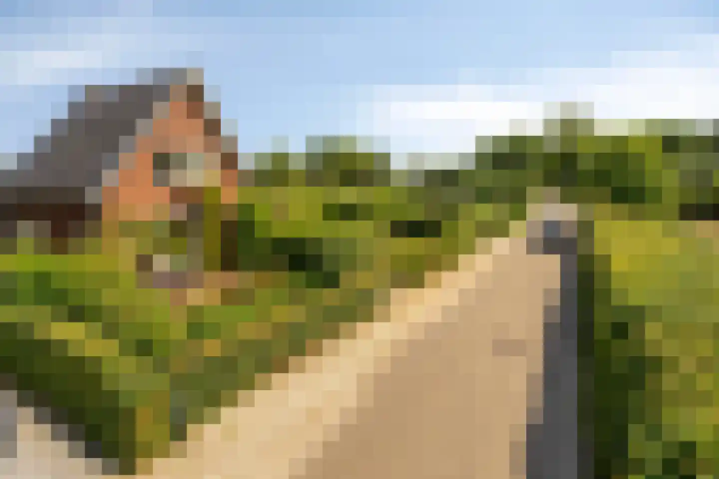 Hoge Brink 33 Wenum Wiesel thumbnail 60