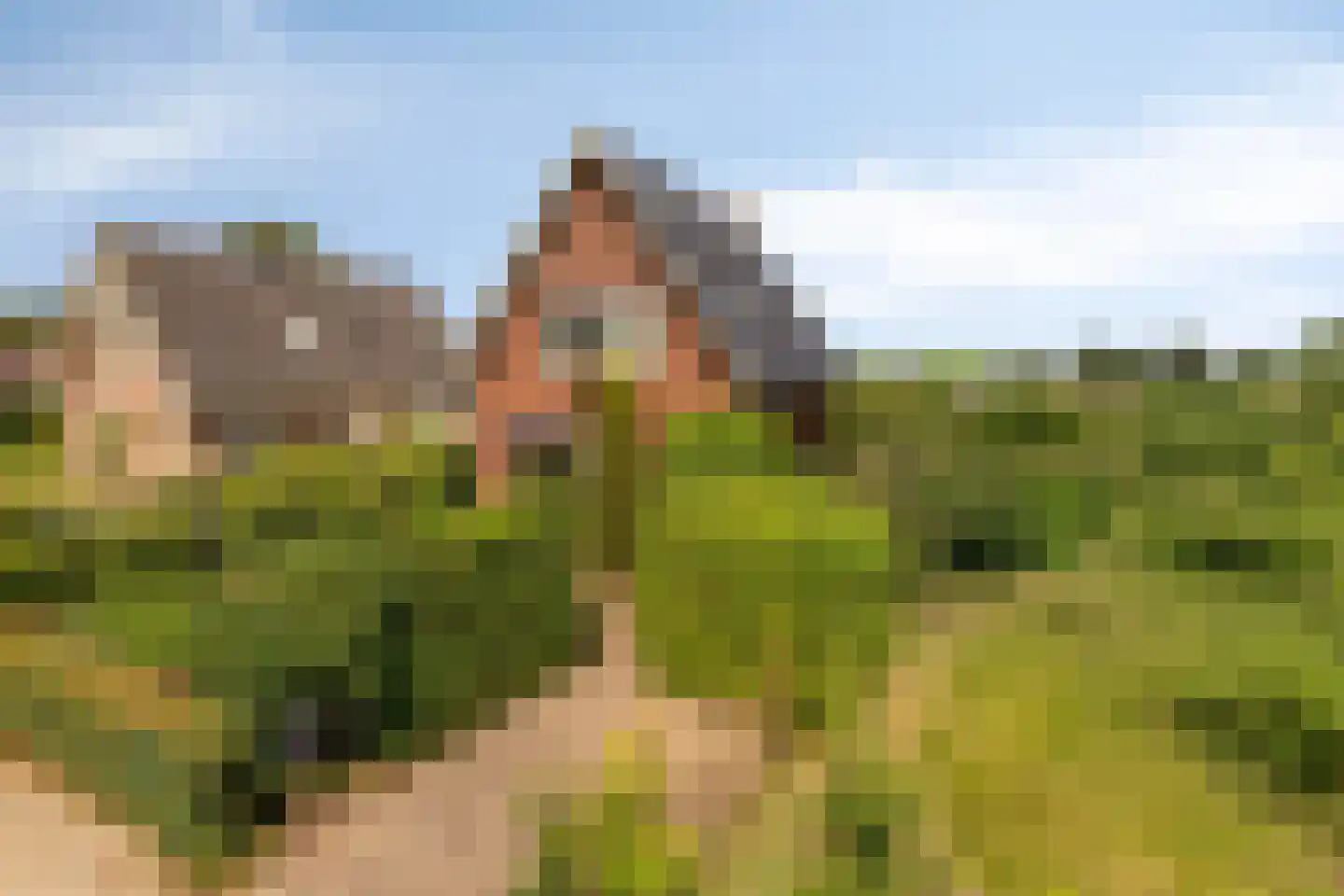 Hoge Brink 33 Wenum Wiesel thumbnail 61