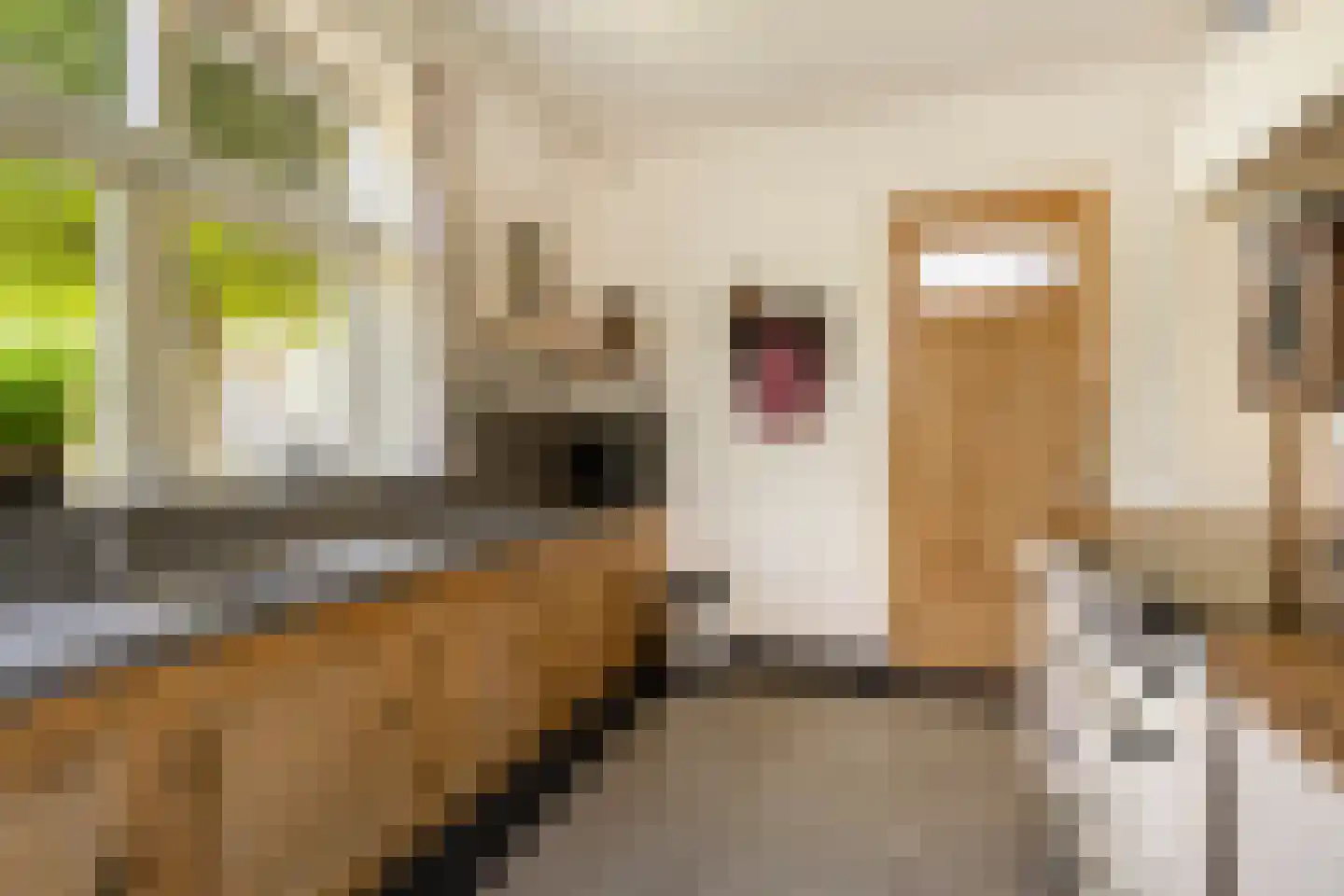 Hoge Brink 33 Wenum Wiesel thumbnail 9