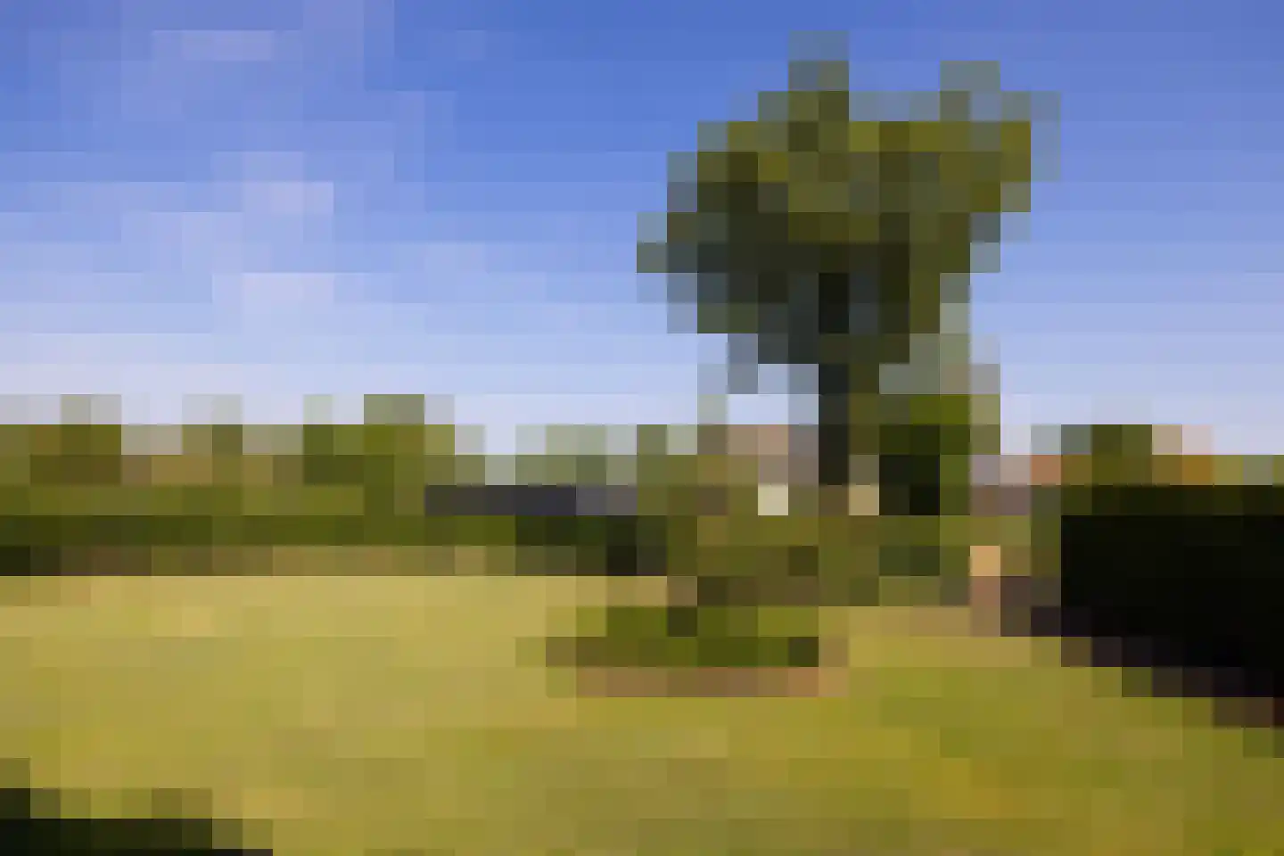 Hoge Brink 9 Zalk thumbnail 10