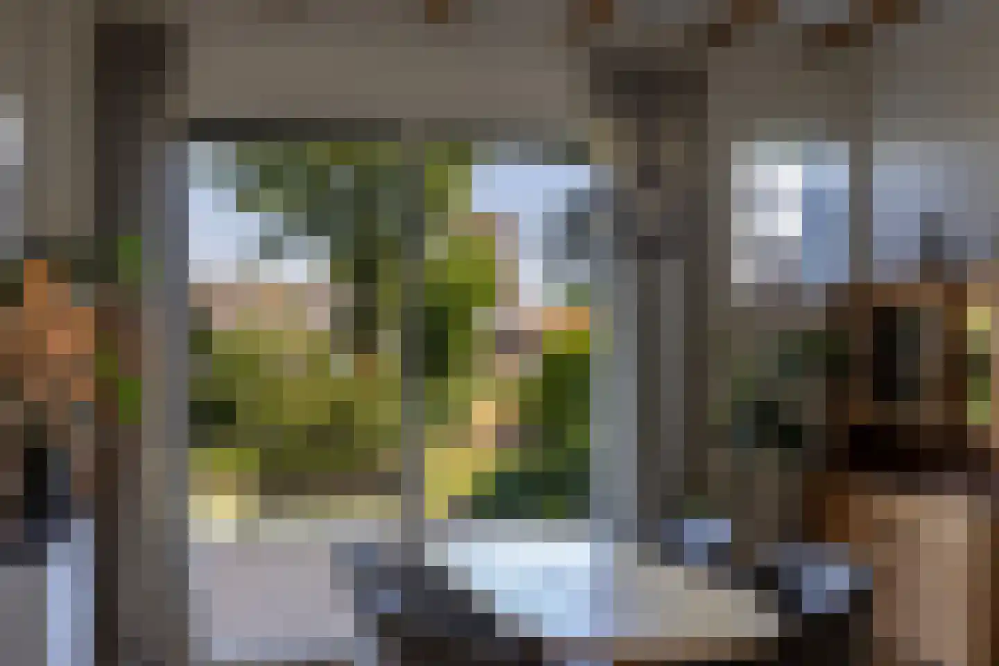 Hoge Brink 9 Zalk thumbnail 14