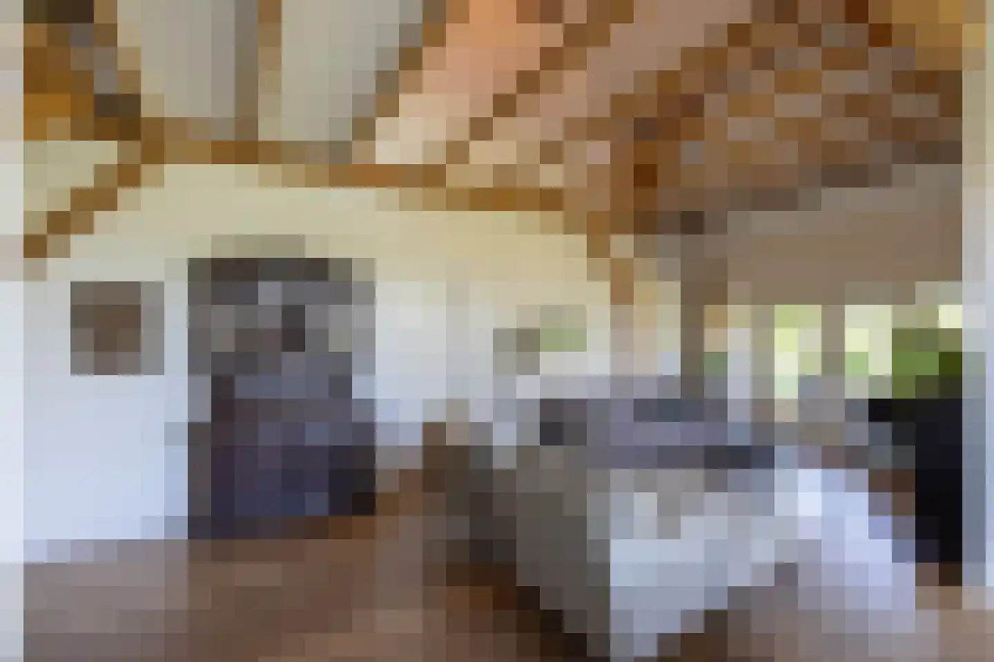 Hoge Brink 9 Zalk thumbnail 15