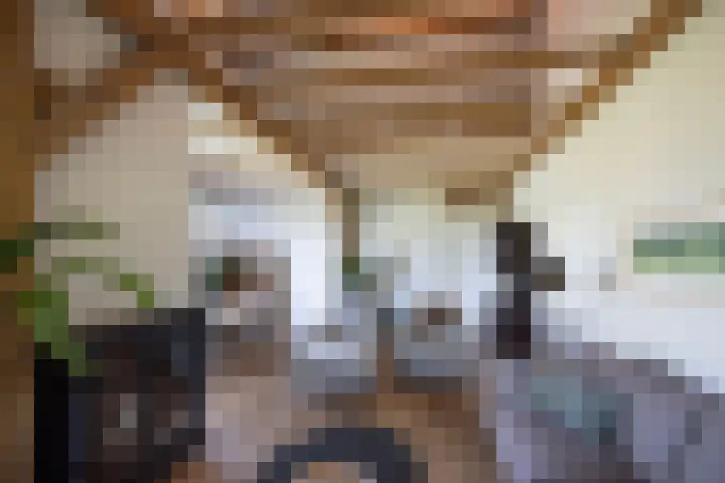 Hoge Brink 9 Zalk thumbnail 17