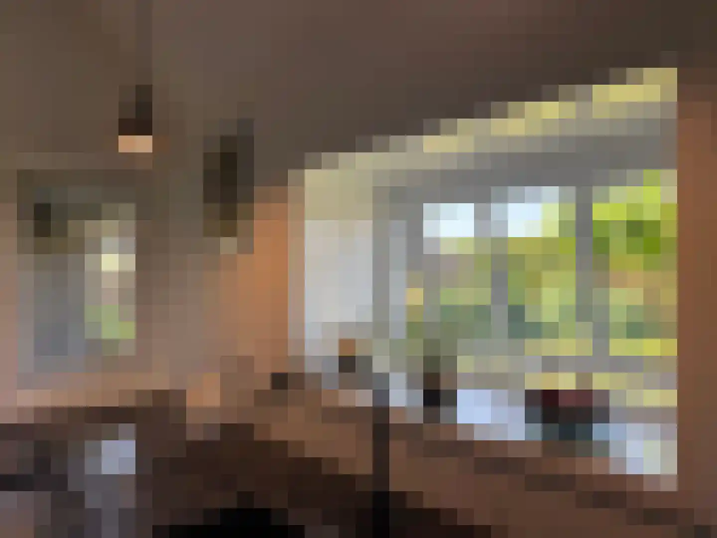 Hoge Brink 9 Zalk thumbnail 23