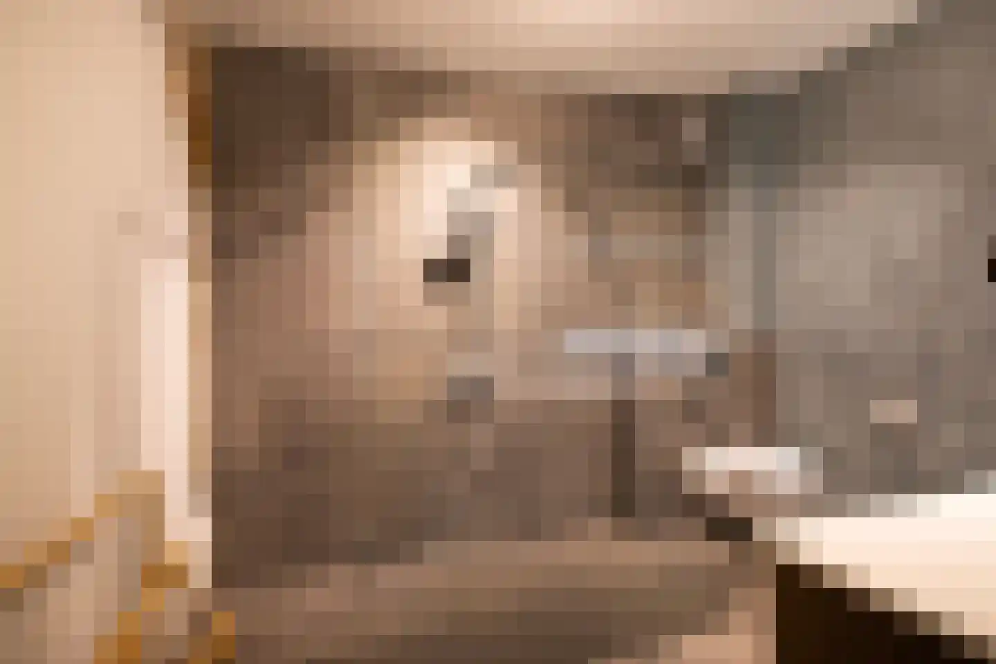 Hoge Brink 9 Zalk thumbnail 32