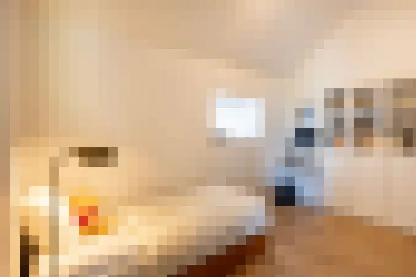 Hoge Brink 9 Zalk thumbnail 35