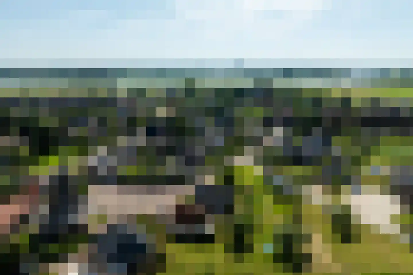 Hoge Brink 9 Zalk thumbnail 4