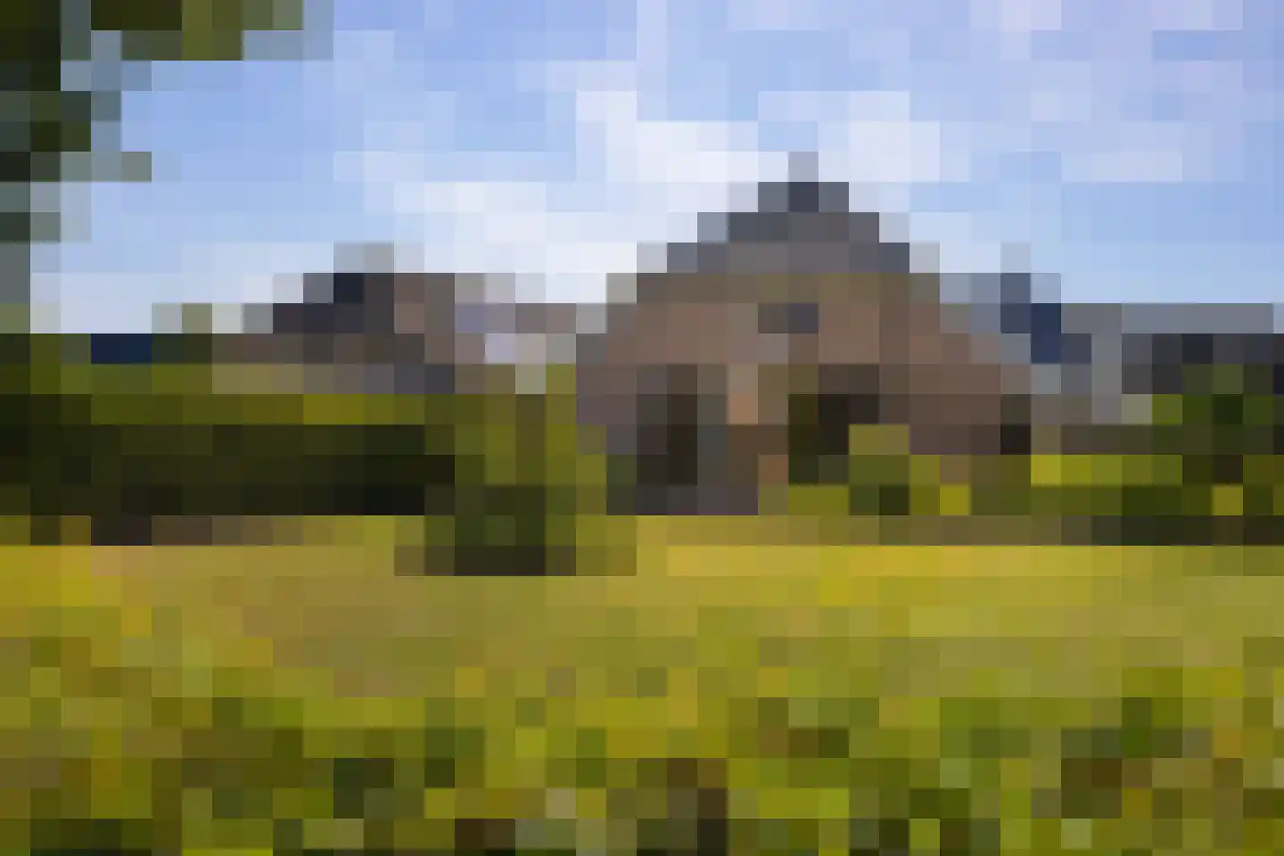 Hoge Brink 9 Zalk thumbnail 48