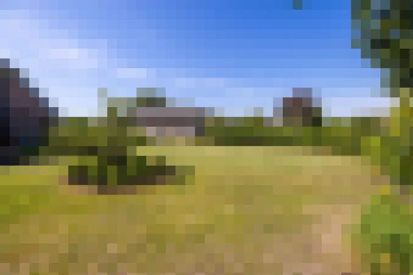 Hoge Brink 9 Zalk thumbnail 55