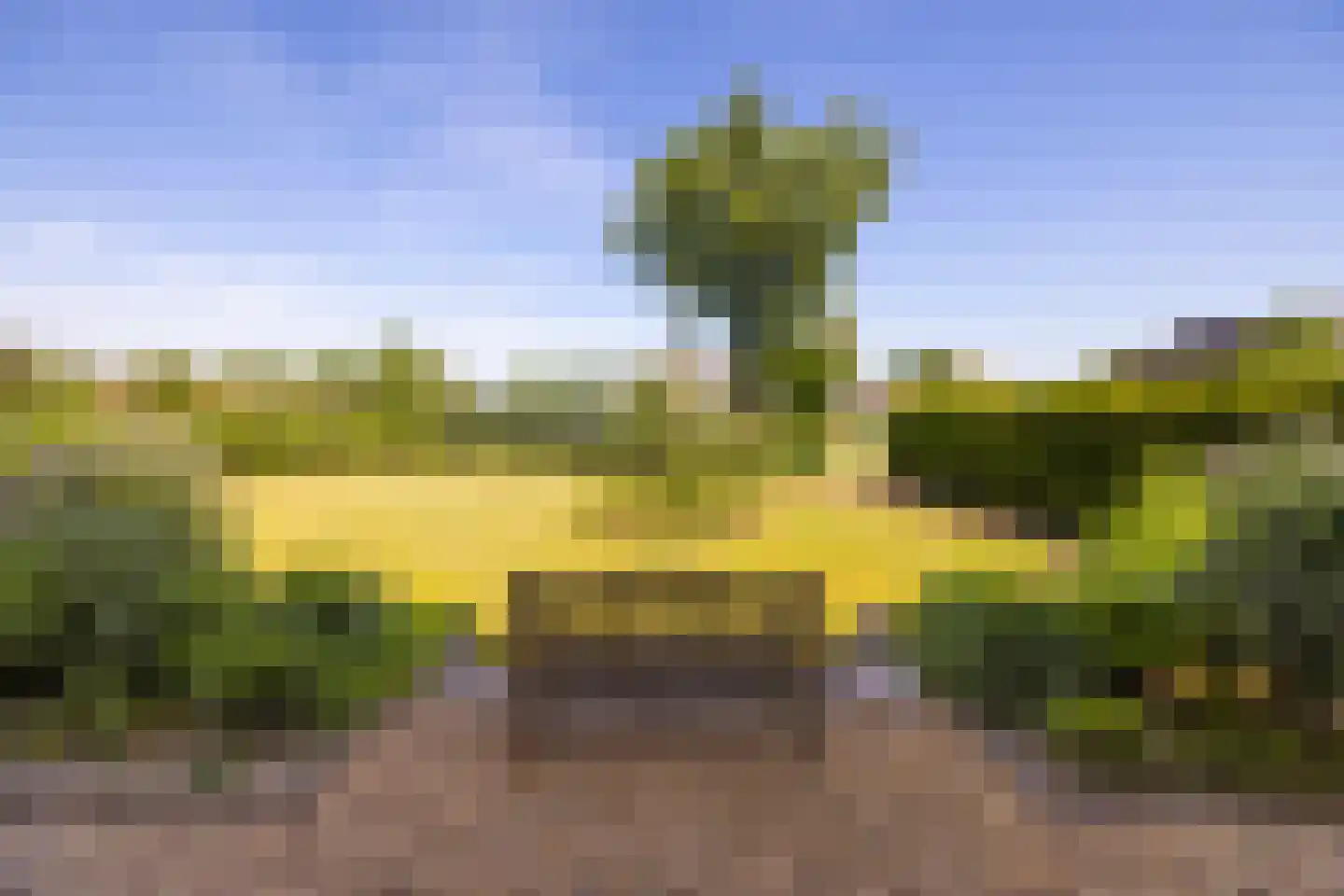 Hoge Brink 9 Zalk thumbnail 9