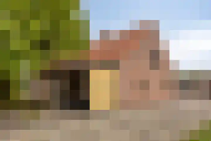 Hoge Broekstraat 3 Heeswijk-Dinther thumbnail 26