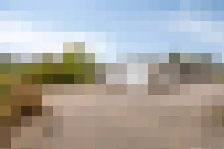 Hoge Broekstraat 3 Heeswijk-Dinther thumbnail 32