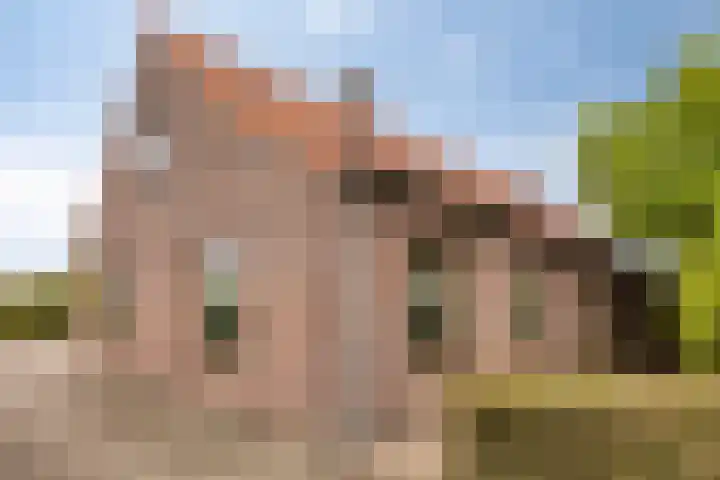 Hoge Broekstraat 3 Heeswijk-Dinther thumbnail 5